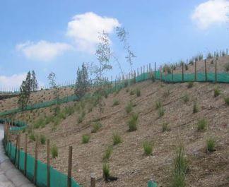 North American Green Biodegradable mats newly installed on hillside