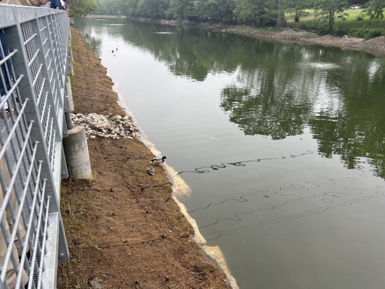 Coir mat along river