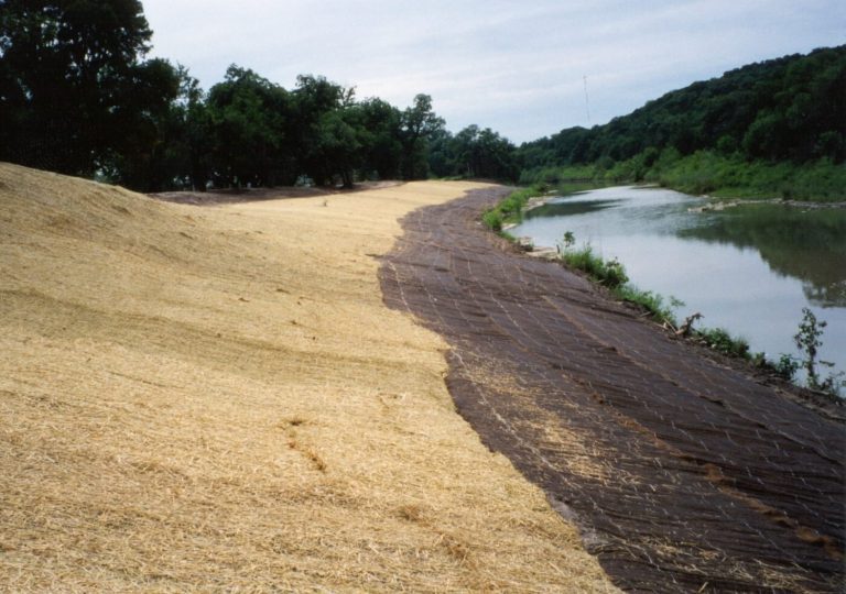 Straw blankets rolled out