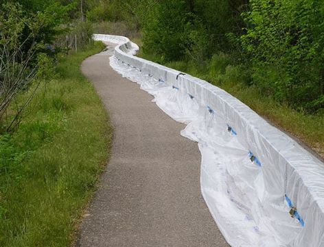 Muscle Wall - 2'H x 6'L