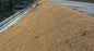 Coir Mat 