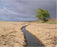 North American Green SC150 - 8' x 112'
