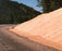 North American Green P300LW