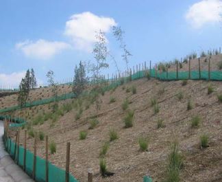 North American Green SC150BN