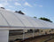 SolaWrap Greenhouse Plastic - 5' x 328'